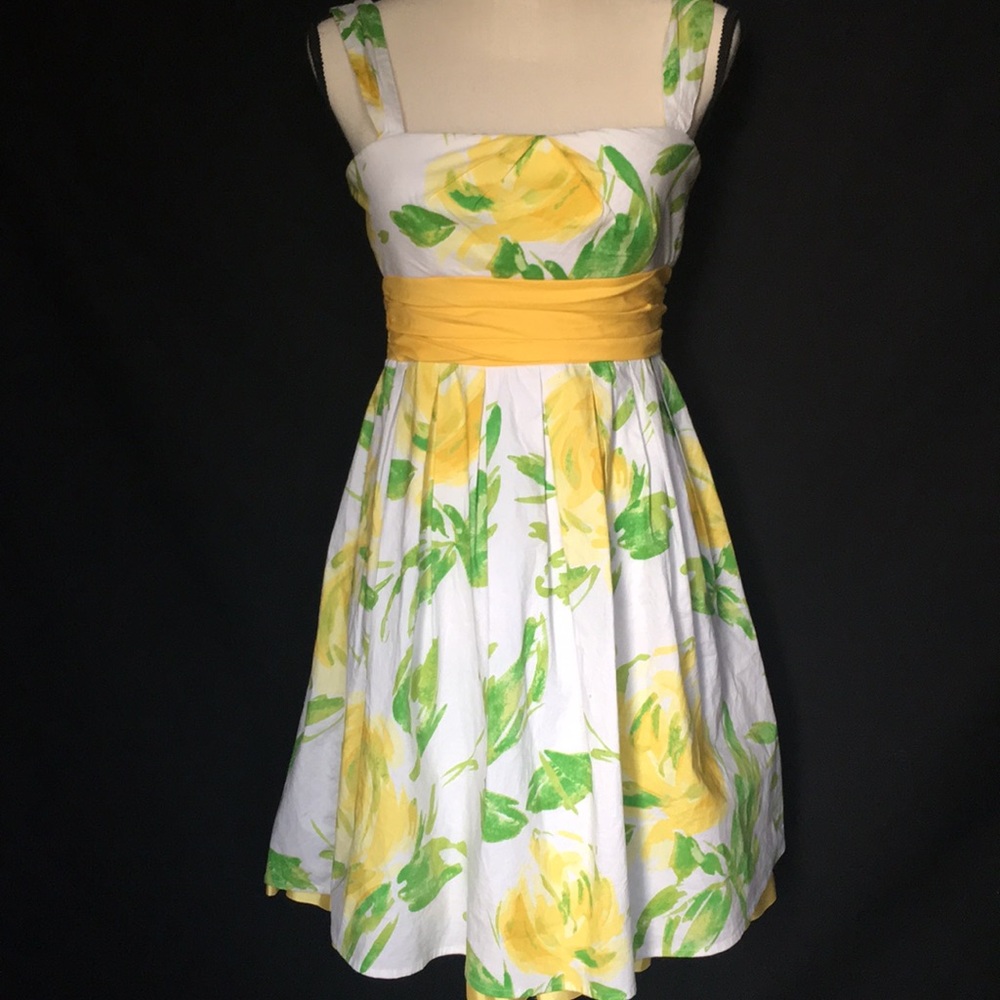 City Triangles Floral Dress